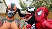 Spiderman vs Venom vs Bane | Bane Becomes a Villain | Real Life Superhero Battle Death Match