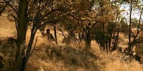 Mary And Joseph Travel To Bethlehem