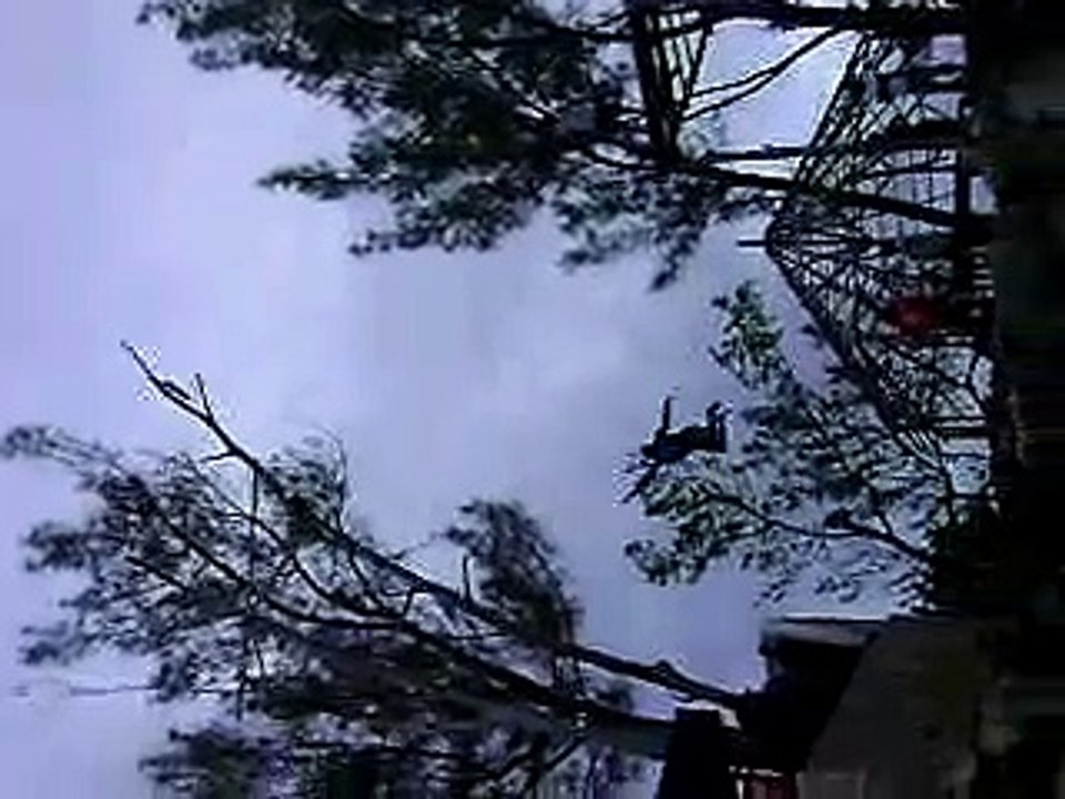 crazy jamaican cliff diver