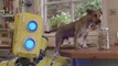 ReCore - Mack's Day Off Live-Action Trailer (Xbox One/Windows 10) 2016