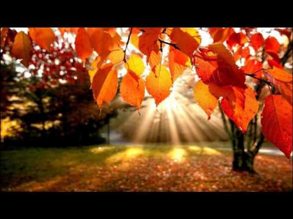 Venhar SAĞIROĞLU İle Her Telden Ebruli & İbrahim ÇOBAN - Eylül