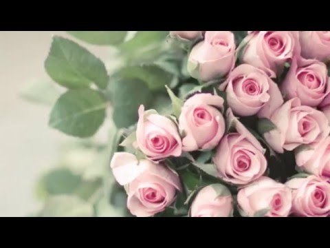 Venhar SAĞIROĞLU İle Her Telden Ebruli & Yılmaz ODABAŞI - Aşktır Benim De Yandığımdaki