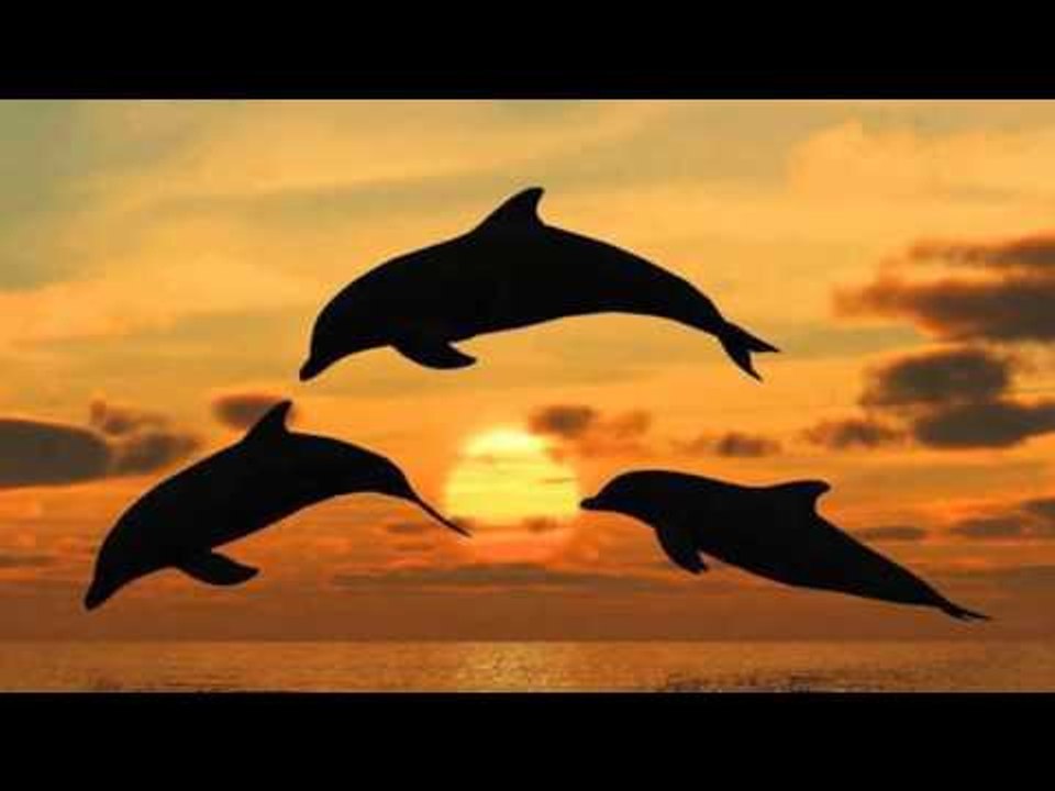 Venhar SAĞIROĞLU İle Her Telden Ebruli & Abdurrahim KARAKOÇ - Tut Ellerimden