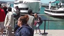 Un bateau se rate en arrivant au port de San Diego et défonce le quai !