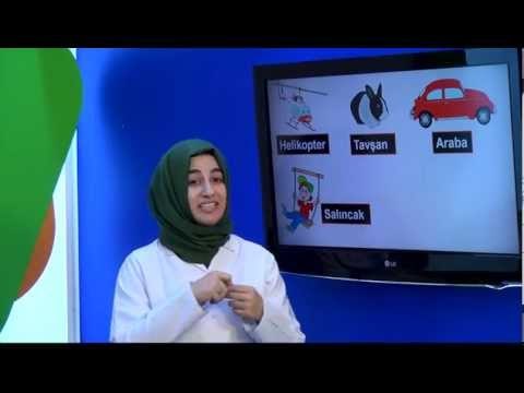 İlköğretim 4. Sınıf Fen ve Teknoloji Eğitim Seti Kuvvet Ve Hareket