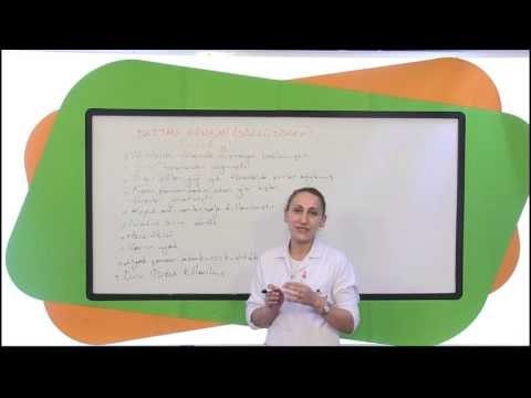 10.Sınıf Türk Edebiyatı (Destan Dönemi Türk Edebiyatı)