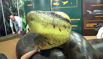 Découvrez le Titanoboa le plus gros serpent du monde...