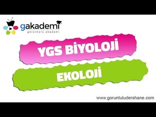 YGS Biyoloji Ekoloji