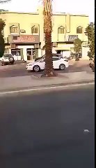 Sheep chooses how to die