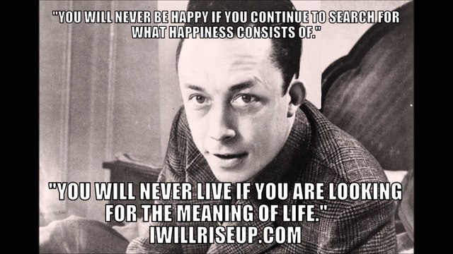 Albert Camus Quotes