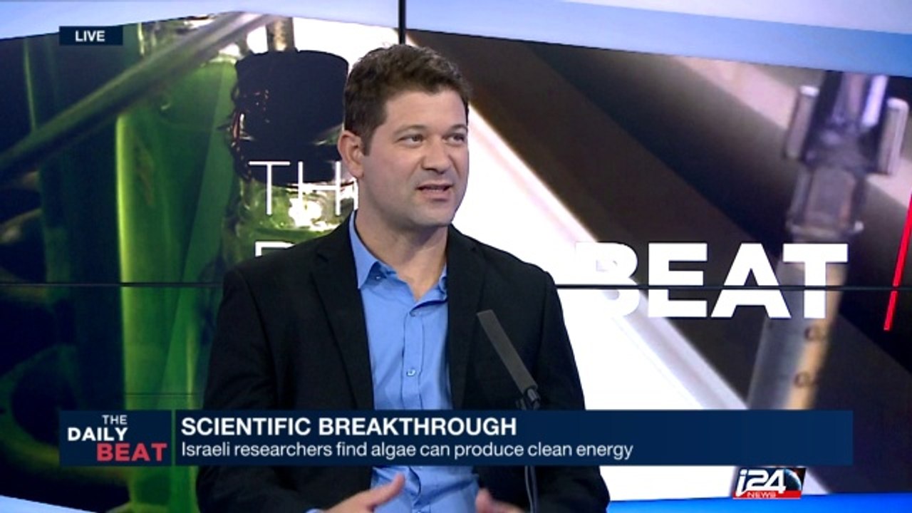 Medical Marijuana and Israeli researchers find algea can produce clean energy