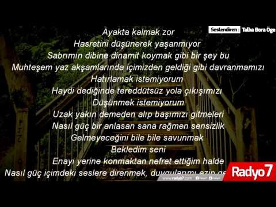 TALHA BORA ÖGE GÖLGE şiiri sesinden " BİLE BİLE LADES " - Dailymotion Video