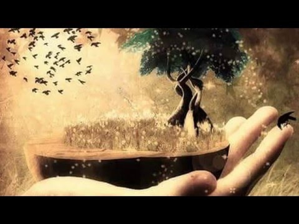 Venhar SAĞIROĞLU İle Her Telden Ebruli - Eller Yukarı Hayat