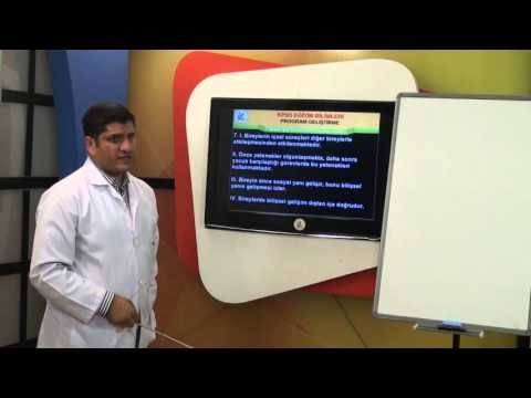 KPSS Eğitim Bilimleri Program Geliştirme Soru Çözümleri