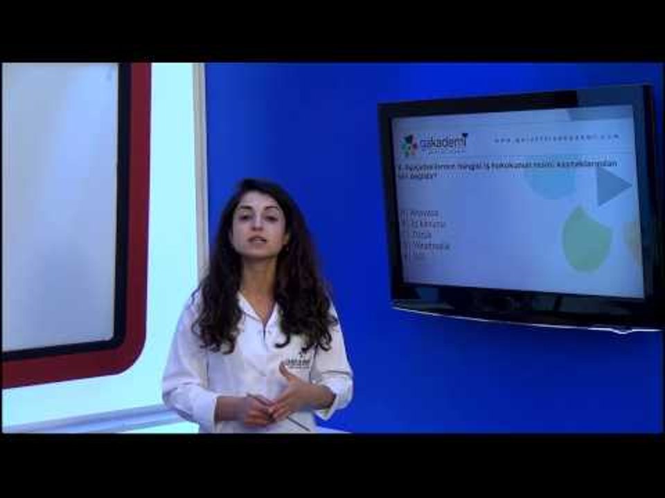 A'dan Z'ye Pratik SMMM Staja Başlama İş ve Sosyal Güvenlik Hukuku