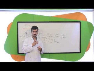 LYS Biyoloji Dolaşım Sistemi