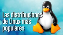 Principales distros de Linux