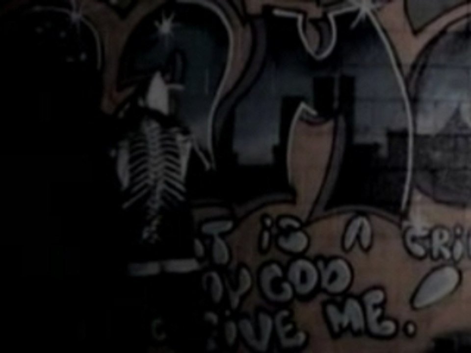 Evidence-mr slow flow-dvdrip-xvid-2007-uvz