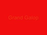 montage de grand galop
