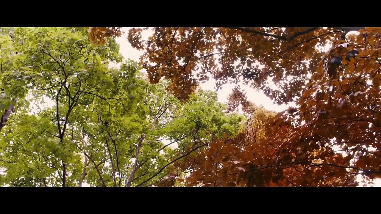 "La Vie d'Adèle - Chapitres 1 et 2" d'Abdellatif Kechiche