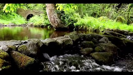 الشدو الأخير , ريبر هبون , من ديوان صرخات الضوء الأعمال الكاملة