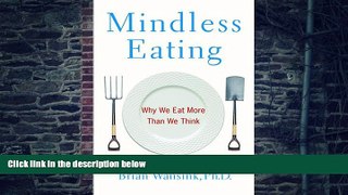 Big Deals  Mindless Eating: Why We Eat More Than We Think  Best Seller Books Most Wanted