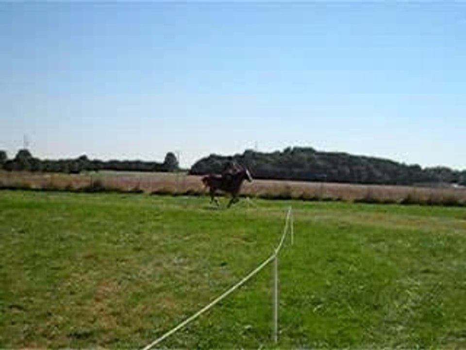 CCE tichemont-cross_depart-