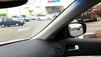 Dog loses it after finding out he s at pet store