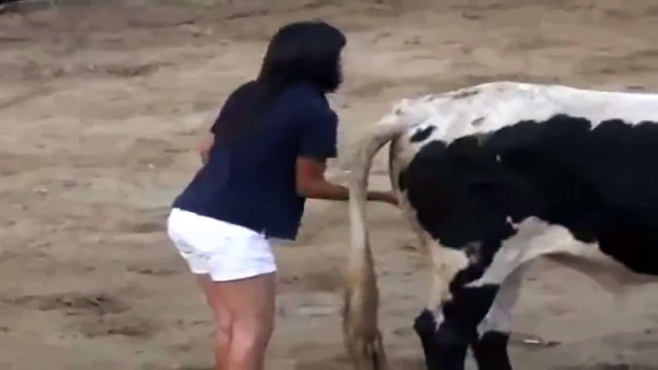 Girl and Bull