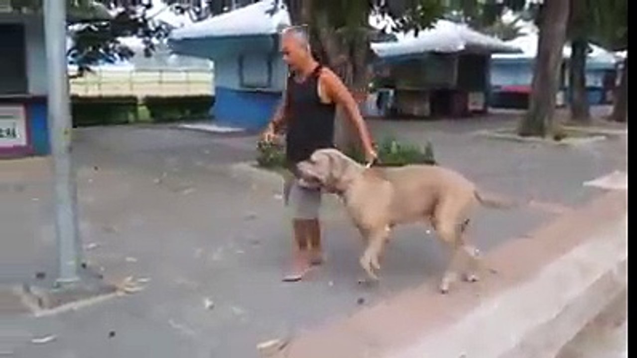 I lumtë kësaj nëne!