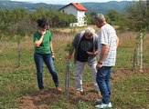 RADIONICE ZA VOĆARE, 13. septembar 2016. (RTV Bor)
