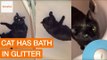 Cat Takes Glitter Bath and Spreads Glitter Across Home