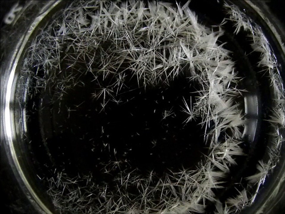 Kristallisation von Bariumbromat (Zeitraffer)