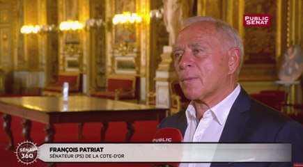 François Patriat : " Le gouvernement ne ment pas " sur Alstom