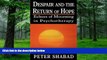 Big Deals  Despair and the Return of Hope: Echoes of Mourning in Psychotherapy  Best Seller Books