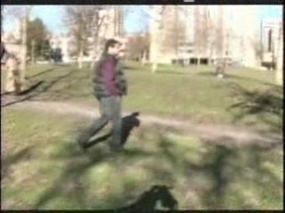 Prevention Routière 2