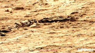 Curiosity Mars Discovery of a fossil (2)