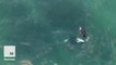Man swims and frolics with a orca whale in the wild