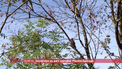 Chez vous #1 à Planète Sauvage