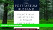 Big Deals  The Postpartum Husband: Practical Solutions for living with Postpartum Depression  Best
