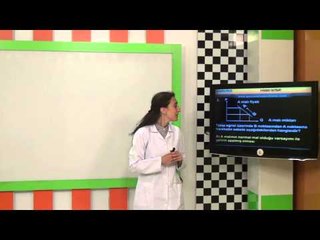 Mikro İktisat Soru Çözümleri