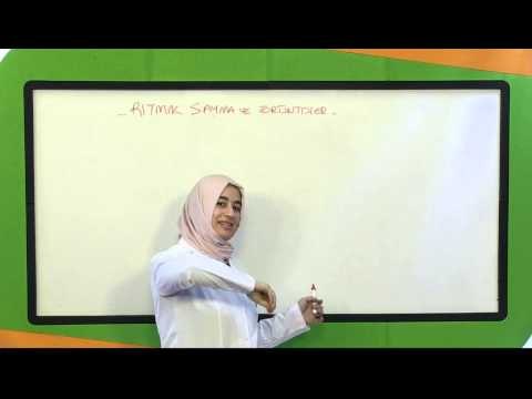 İlköğretim 3. Sınıf Matematik Eğitim Seti Ritmik Sayılar Ve Örüntüler