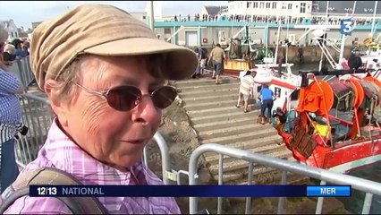 Langoustines : une excellente année de pêche