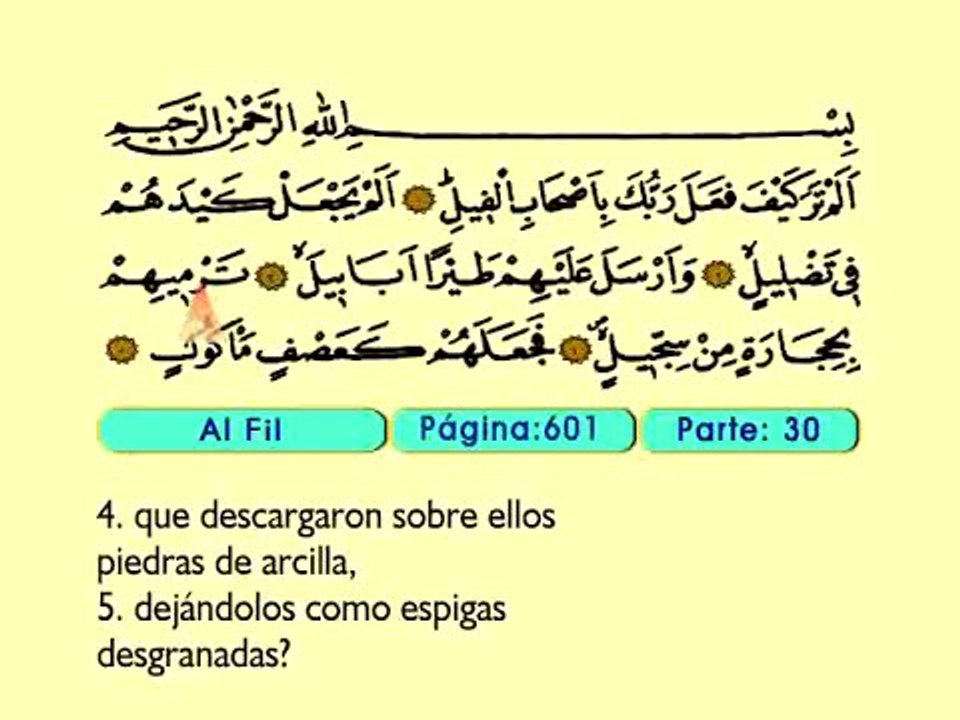 113. Fil 1-5 - El Sagrado Coran (Árabe)