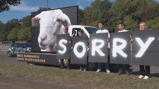 Gaia manifeste contre l'abattage sans étourdissement lors de la Fête du sacrifice
