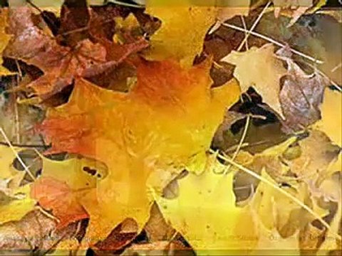 İbrahim Sadri Bugün Pazar ve Ben Seni Çok Özledim