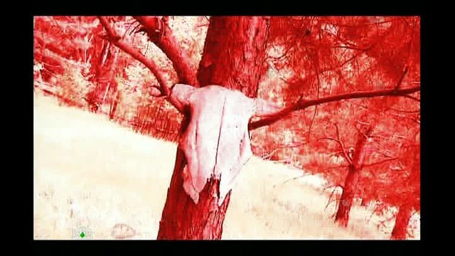 Таинственная Россия. Тамбовская область. Оборотни рядом с нами? [2013, DVB]