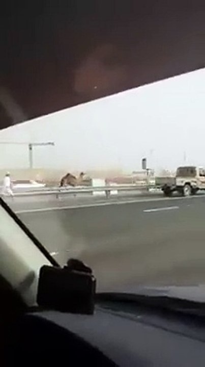Only in dubai