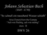 J. S. Bach - 