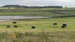 British coal: Proposed new opencast mine causes division